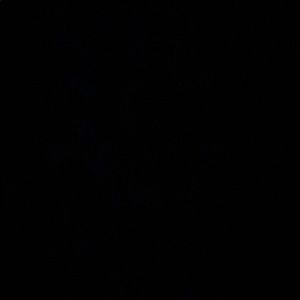 Meet your Posher, Hunter